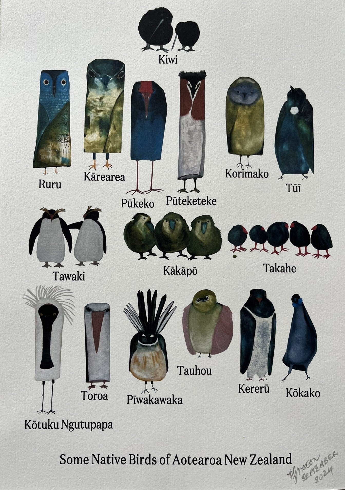 Some But Not All New Zealand Native Birds