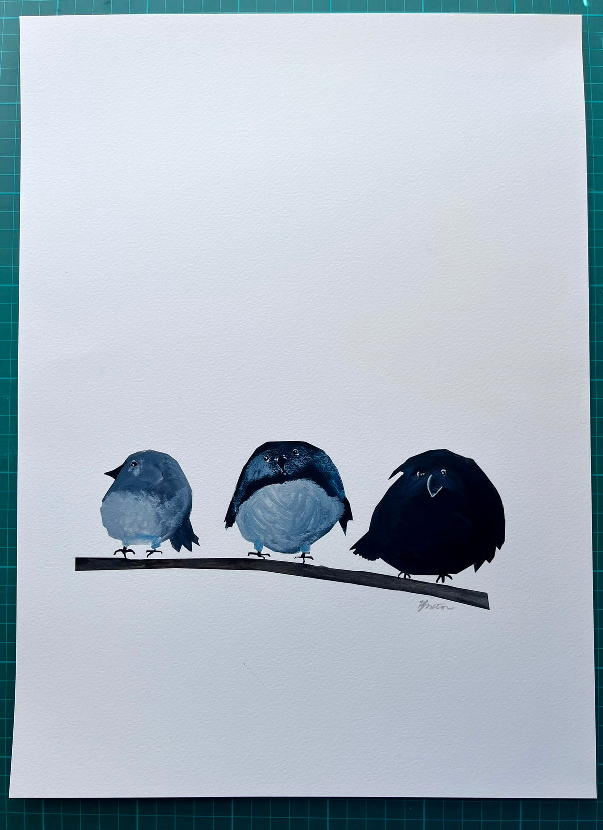 A ROUND OF ROBINS