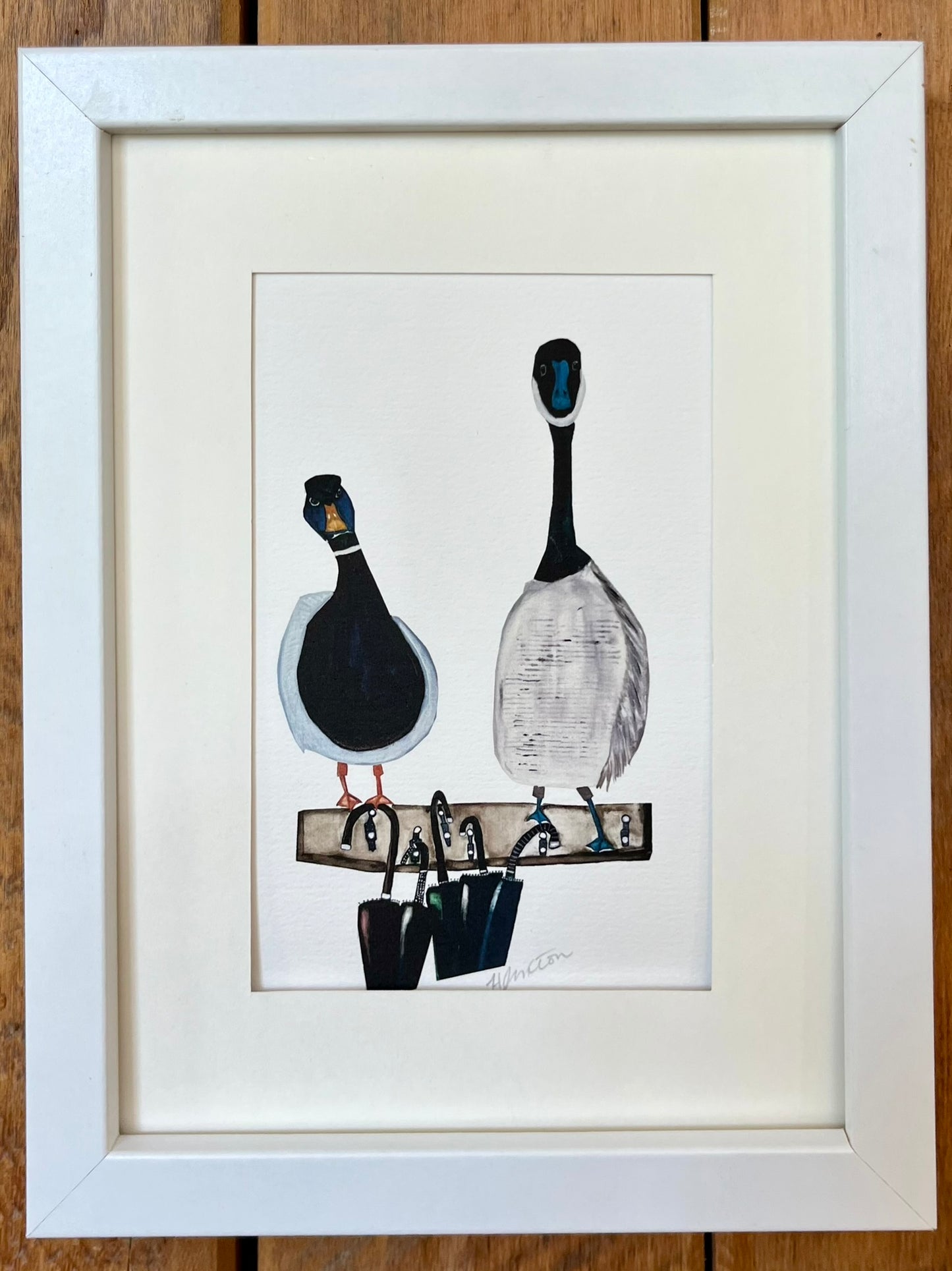 THE COLONIALS- CARDS