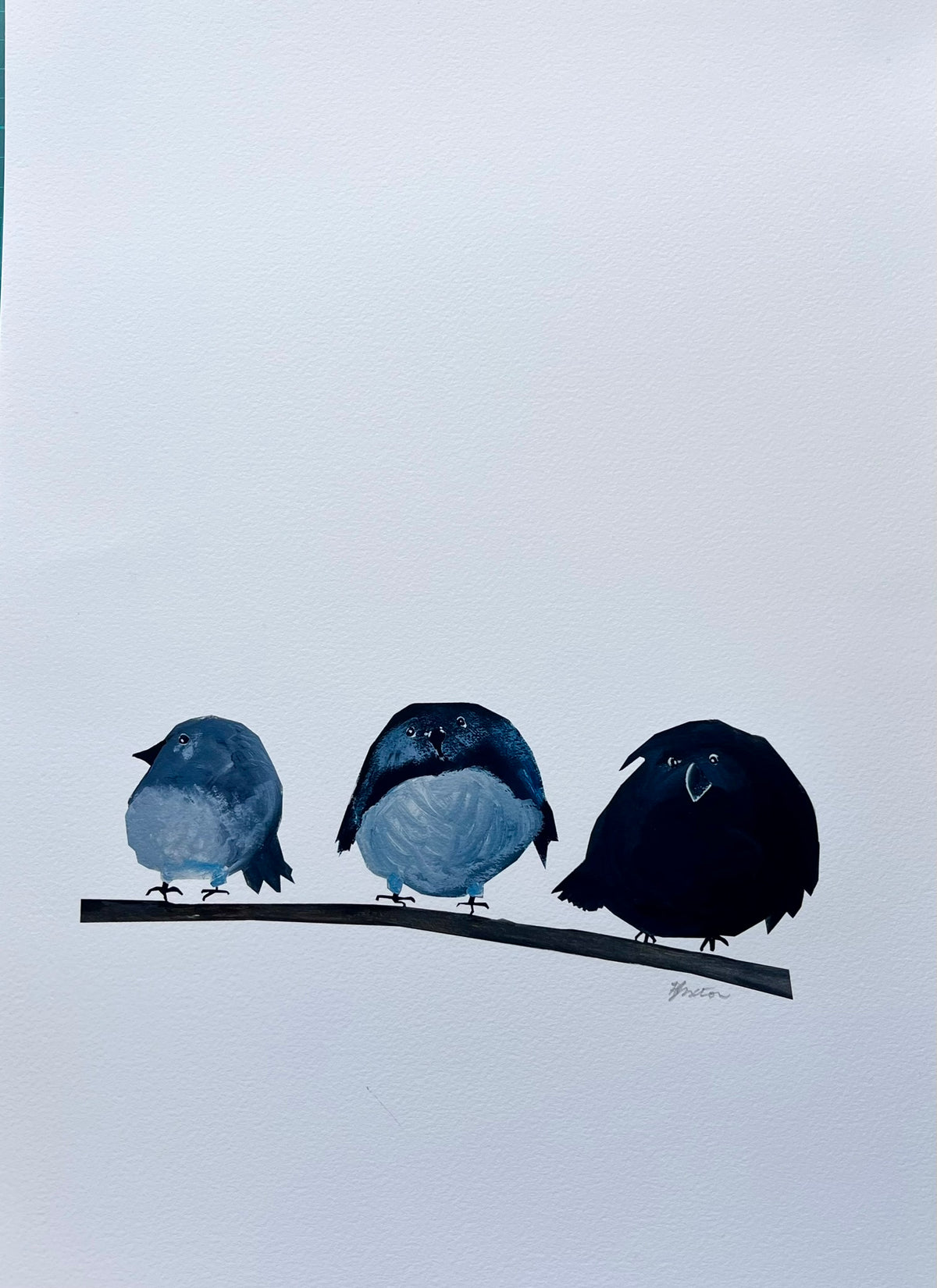 A ROUND OF ROBINS