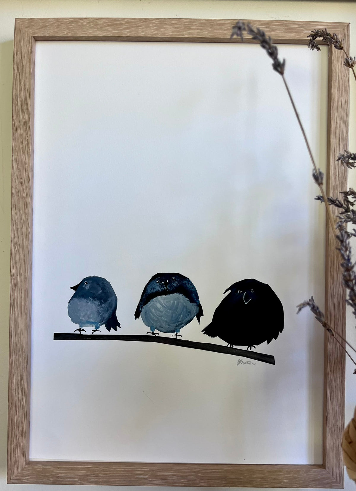 A ROUND OF ROBINS